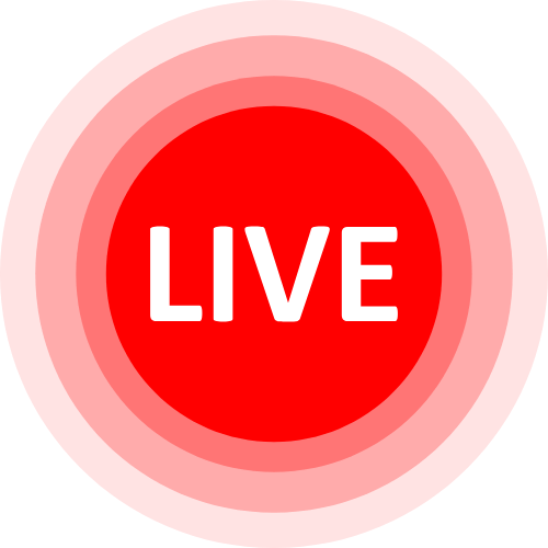 Desilive Cam